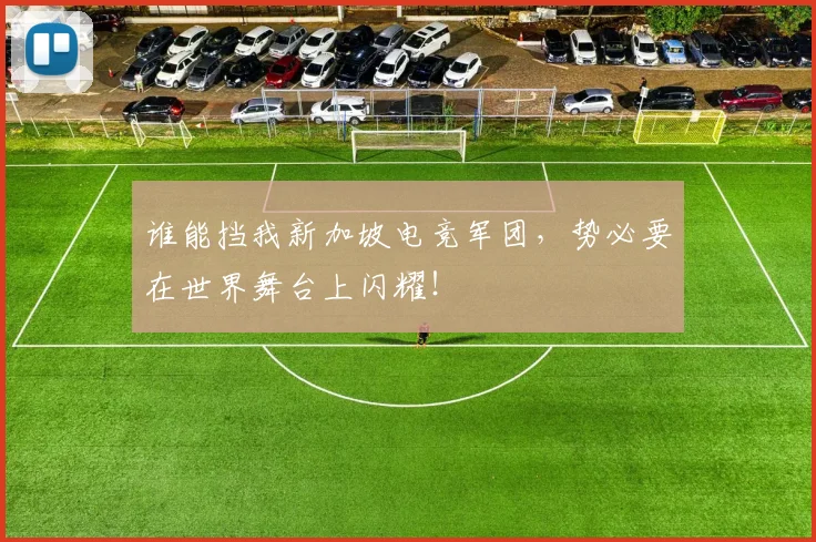 谁能挡我新加坡电竞军团，势必要在世界舞台上闪耀！